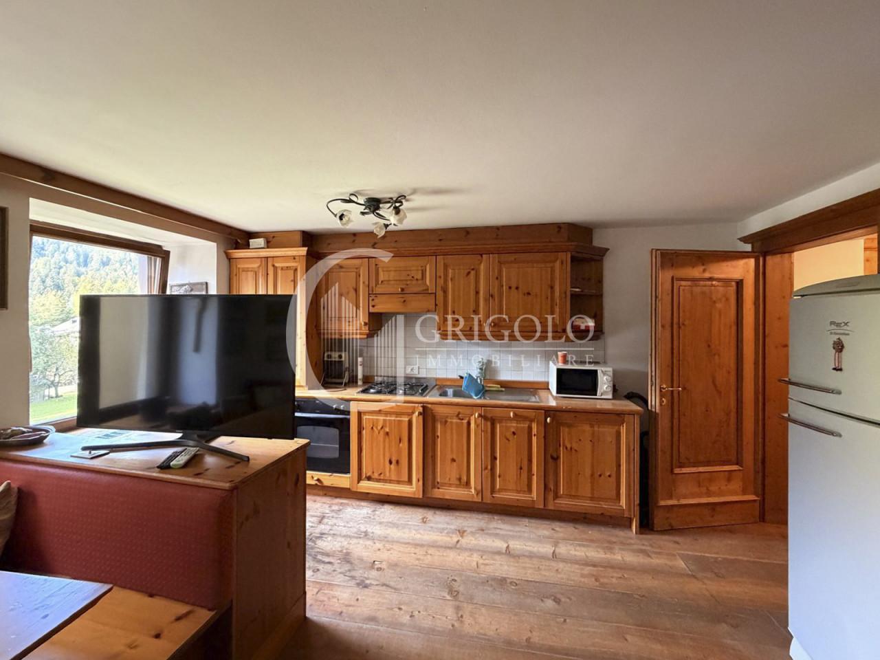 S.VITO DI CADORE Appartamento con vista sul Monte Pelmo GM251